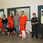 article image - 